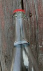 Jaws-50th Anniversary Collectible Bottle Empty No Liquid       Rare Hard Find     