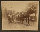 Antique Cabinet Photo Man Driving Horse Drawn Carriage Buggy