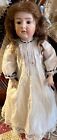 Antique Gebruder Heubach Bisque Model 6970 Doll  19    Wigged Glass Eyed Version