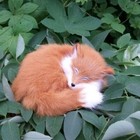 Cute Sleeping Simulation Fox Model Plush Imitation Fur Realistic Fox Doll Gift
