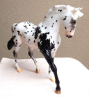 Breyerfest 2022 Big Ben Brahms -- Glossy       handpicked       For Pattern   Pinking