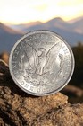 1884-cc Morgan Silver Dollar Gem Brilliant Uncirculated Mint State