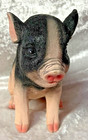 Sitting Pig 5 5  Tall - New S