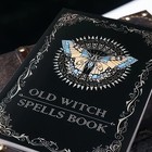 Old Witch Spells Book Essential Tool For Witches   Wizard Beginners Free Shippin