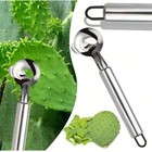 2pcs Cactus Peeler Spoon Stainless Steel Kitchen Tools For Peeling Cactus Leaves