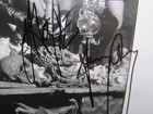 Misfits Jerry Only Doyle Von Frankenstein Signed Autographed 8x10 97 Promo Photo