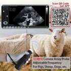 Wireless Ultrasound Machine For Android  Handheld Ultrasound Scanner For Pet