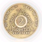 Alcoholics Anonymous 60 Day Recovery Coin Chip Medallion Medal Token Aa 2 Month
