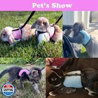 Bunny Harness And Leash Set  Rabbit Vest Hamster Leash Mesh Eescape Proof Wal