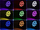 Par Can Light Rgb 12led Battery Dmx Stage Lighting Dj Disco Party Show Club