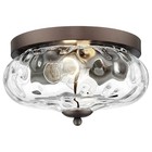  Ceiling Light Fixtures Flush Mount Indoor Outdoor Ceiling Light 11inch Bronze