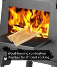 Portable Wood Burning Camping Stove     Cast Iron Outdoor Cooking Heater