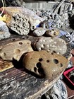 Hag Stones Lot Of 3 Stones   4 Lbs