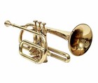 Cornet  Bb  Brass  With Free Hard Case And Mouthpiece Brass Musicals Instruments
