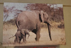 Vintage 1979    elephant - Forest Friends Series 100pc Puzzle Complete