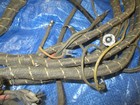 1942 Packard Clipper Wiring Harness 378616 Nos