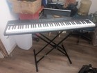 Alesis Recital 88-key Digital Home Piano Black W  Stand   Built-in Speaker