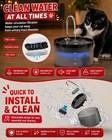 Cat Water Fountain  Dog Bowl Fountains - Automatic Pet Dispenser Usa Stock  