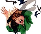  the Birds   1963  One Sheet 27 x41  Alfred Hitchcock Classic Movie Poster 