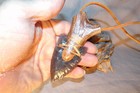 Gray Obsidian Arrowhead Necklace Flint Knapping Black Powder Mountain Man