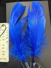 Dyed Swan Shoulders Large