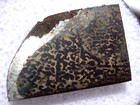 3 33 Grams 18x12x2mm Turpan 003 Iiiab Iron Meteorite Slice With A Coa