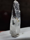 Petroleum Scepter Quartz Crystal Having Good Luster  Beautiful Growth 