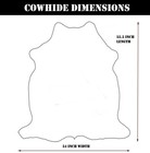 100  Real Natural Area Cow Hair On Cowhide Skin Floor Rug Carpet Size17 9 Sqft