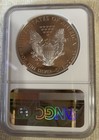 2017-w Proof  1 American Silver Eagle Ngc Pf70uc Brown Label