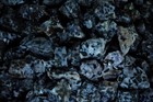 1 Lb Indigo Gabbro Rough Stones -natural Crystal Mineral Rock Specimens Tumbling