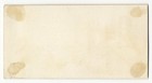 New York Dry Good Store Kaughran Co Puppy Dogs Victorian Trade Card 1880 s