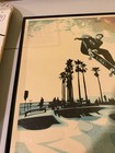Juice Nreyon Lehiger Skateboarding Poster Signed   Numbered Le 294 500
