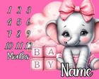 Elephant Milestone Blanket For Baby Girl  Personalized Name  Baby Shower Gift
