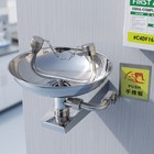 Stainless Eye Wash Station Emergency Wall-mounted First Aid Eyewash Station
