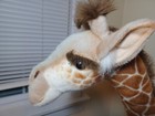 Hansa Giraffe  53  Tall Stuffed Animal Plush Toy  3675 Giant Realistic Hand Made