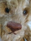 German Steiff 1925 Replica Teddy Bear W mohair Lmt Ed Out Of 10 000  