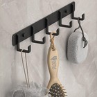 Luyu Matte Black Aluminum 5-hook Wall Rack - 35lb Total Capacity