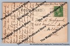  varied Farm Products  Cooke County Gainesville Texas Antique Hand Colored 1913