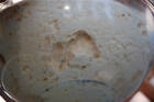 Extremely Sour And Active Sourdough Starter Yeast The Beast Bonanza