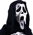 Ghost Face Mask White Scary Horror Halloween Costume For Adult Party And Cosplay