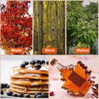 Maple Syrup Tree Tapping Kit With 5 Stainless Steel Maple Tap Spiles And Hook   