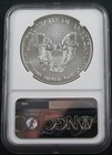 2017 W Burnished American Silver Eagle Ngc Ms 70