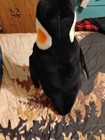 Melissa And Doug Giant Pinguin  Lifelike Stuffed Animal   nearly 2 Feet Tall 
