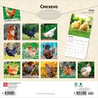Chickens   2026 12x24   hanging  Monthly Square Wall Calendar   Plastic-free