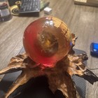 Vintage Mid Century Modern Orange Lucite Resin Cluster On Driftwood Base