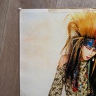 Hide Laminated Poster A3 Exhibition Item Not For Sale Rare National Costume