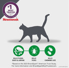Cat Flea And Tick Treatment- Frontline Plus For Cats   Kitten 8 Weeks  6 Doses
