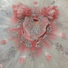 Ballet Dress For Girls Ballet Tutu Women Tutu Dance Costumes Pancake Skirts
