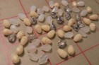 60 Small Czech Glass Faceted Pendants 7x5mm Off White Cream Silver Combo Beads