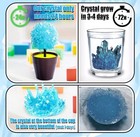 Science Kits For Kids  Crystal Growing Kit-crystals Grow Fast In 24 Hours  Stem 